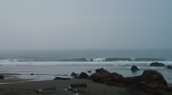 DSC_2254 DSC_2254