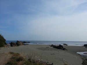 20130129_114548