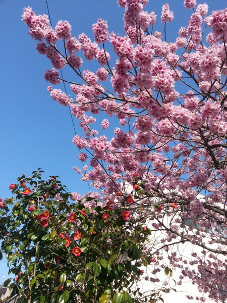 20130314_084718